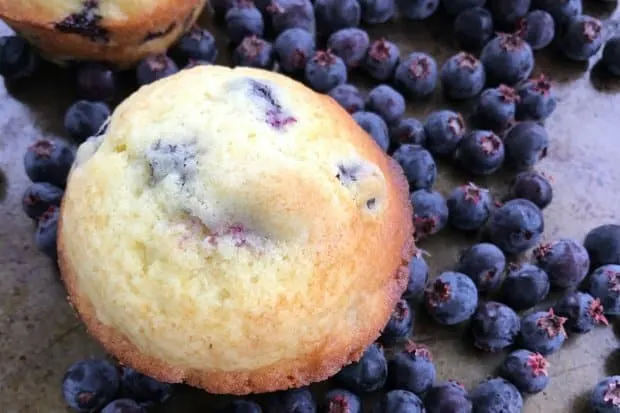 Saskatoon Berry or Blueberry Muffins 2
