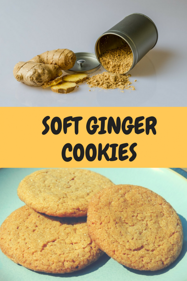 SOFT GINGER COOKIES