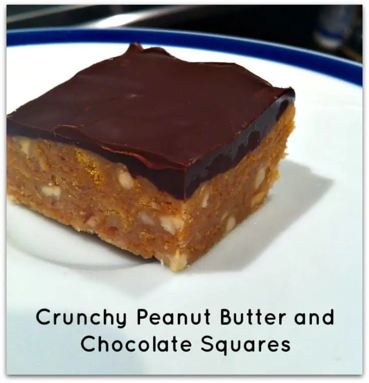 No Bake Peanut Butter and Chocolate Squares