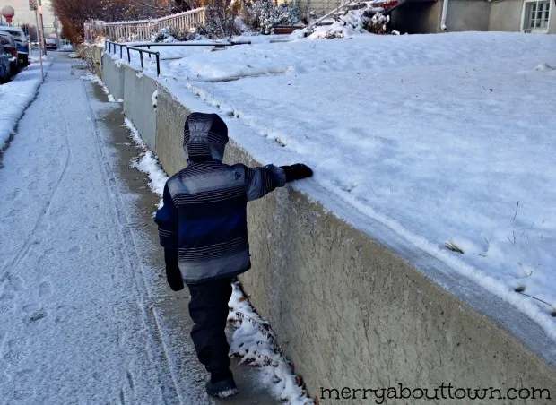 Calgary Snow