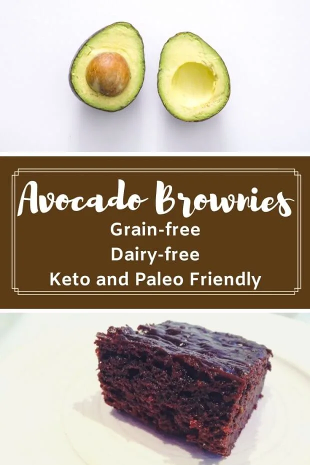 Grain-free and Dairy-Free Avocado Brownies
