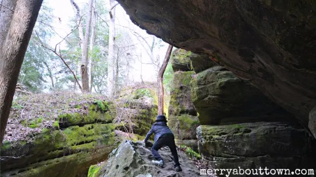 Dismals Canyon Alabama - MerryAboutTown