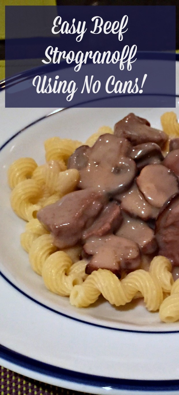 Simple Beef Stroganoff Recipe. Kid Approved and uses no cans! - Merry About Town