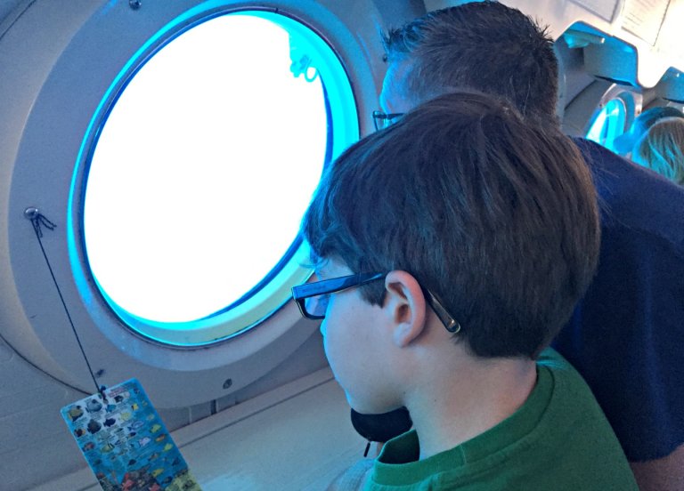 Looking for fish out the submarine window