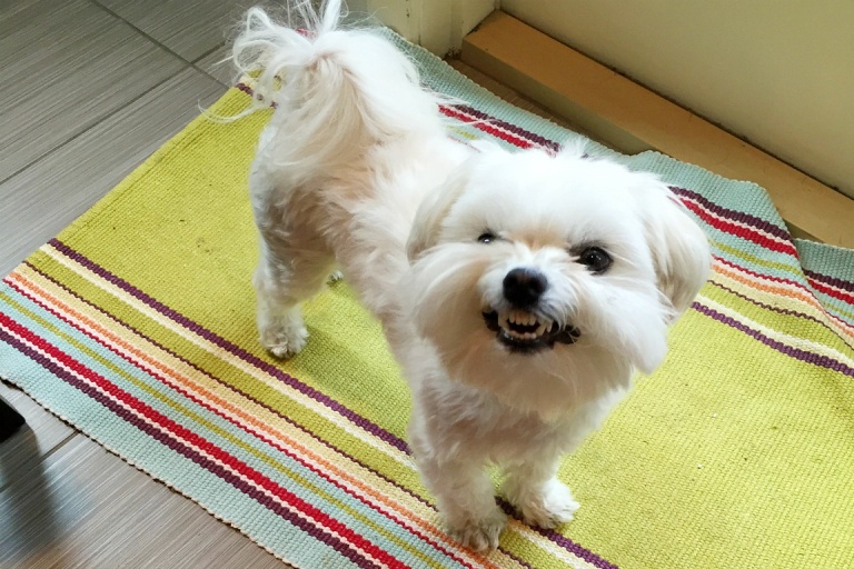 Smiley Cooper
