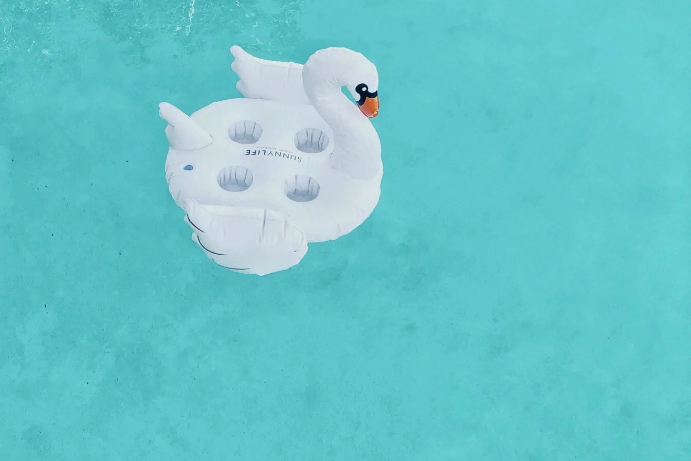 White swan in a pool - birthday pool parties