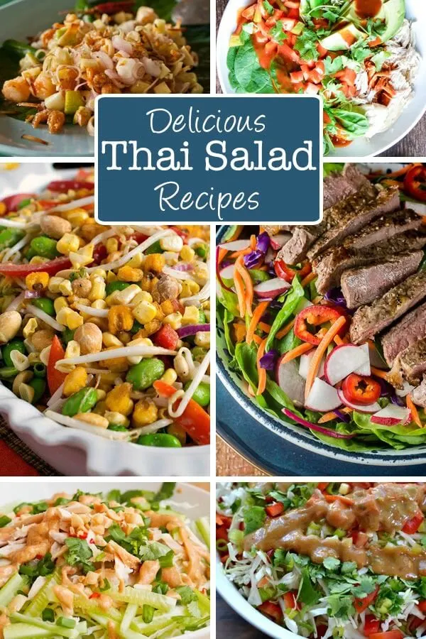 Delicoius Thai Salad Recipes perfect for a cool summer dinner!