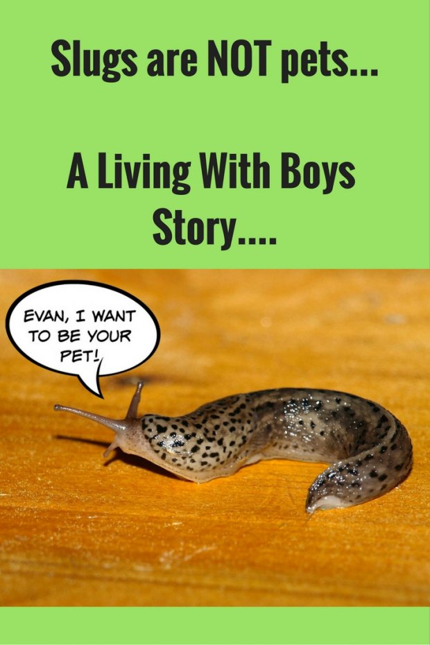 Slugs are NOT pets...A Living With Boys Story....