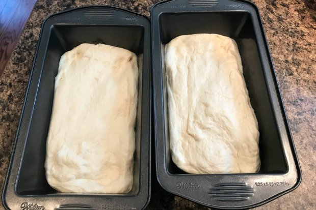 Split Dough into two loaf pans