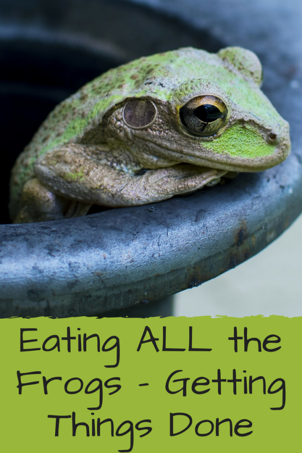 Eating ALL the Frogs - Getting Things Done
