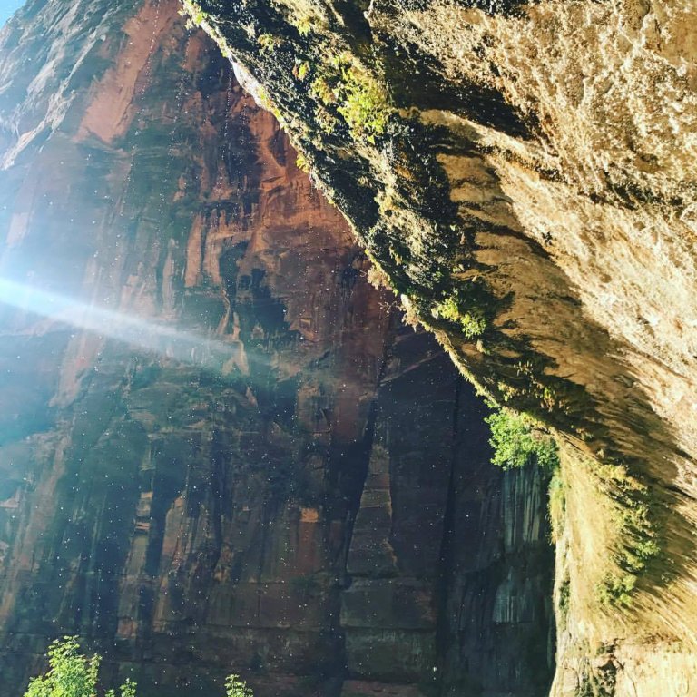 Weeping Rock in Zion National Park