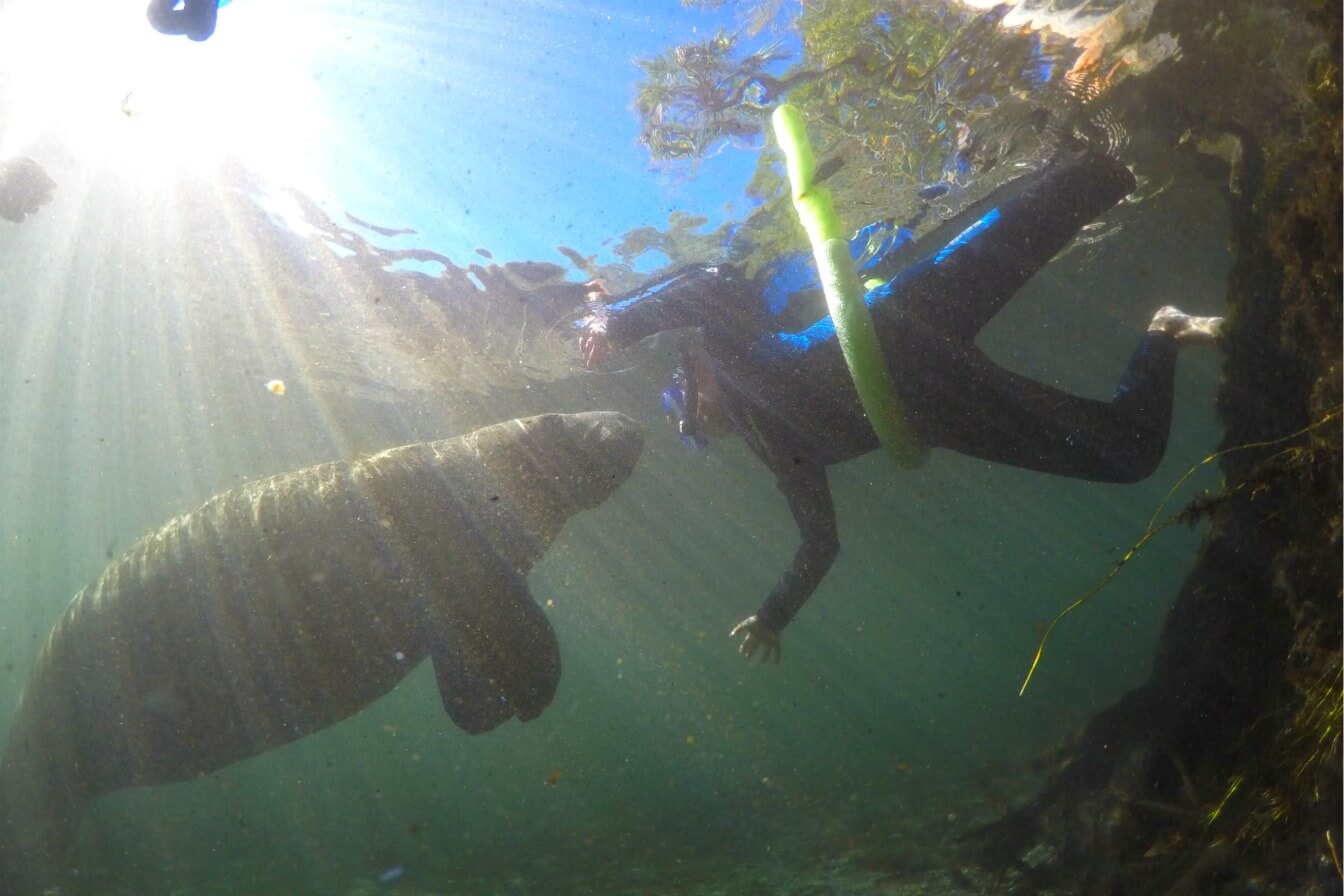 Getting up close and personal on the Chassahowitzka