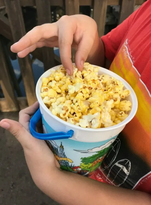 Walt Disney World Popcorn