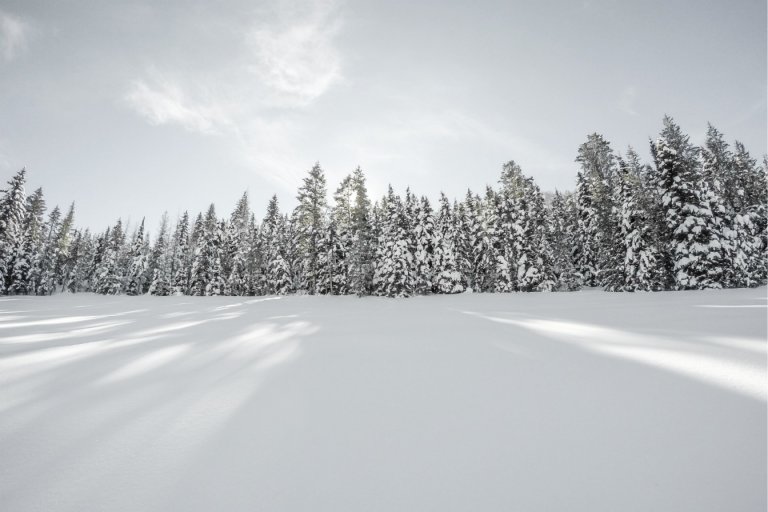 home again in winter