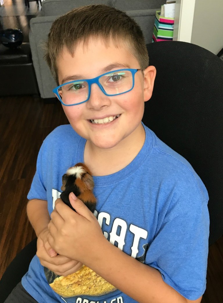Teaching Impulse Control - Getting a Guinea Pig - Merry About Town - Impulse Control In Guinea Pigs Linked To B12 Levels