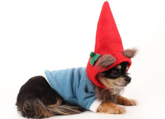 Gnome Costume
