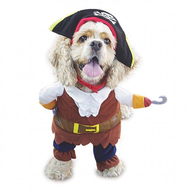 Pirate costume