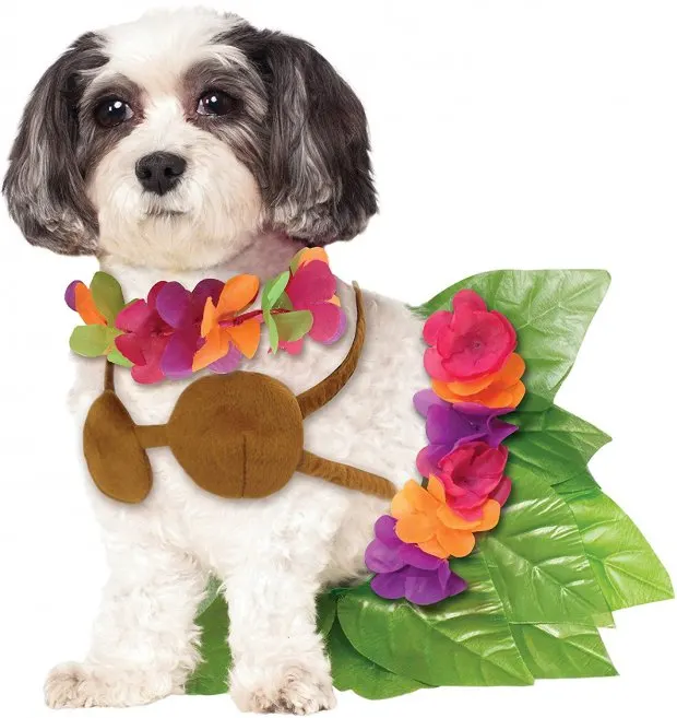 hula girl small dog costume