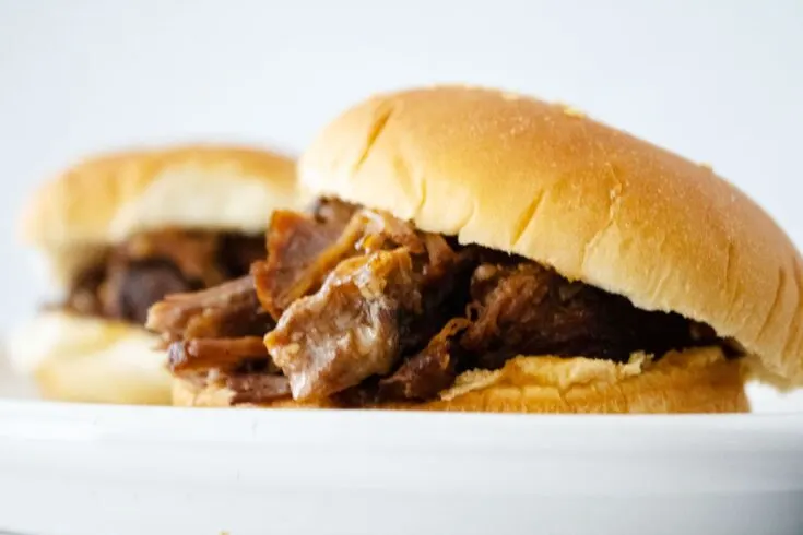Shredded beef on a bun sitting on a white plate
