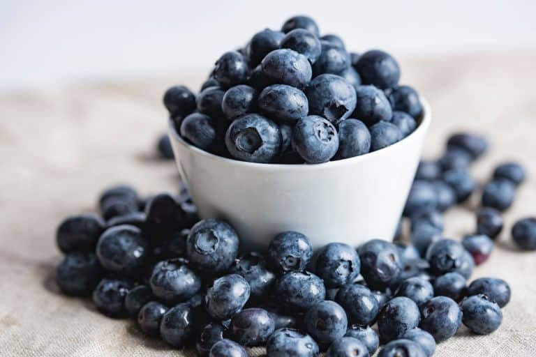 Blueberry and Saskatoon recipes