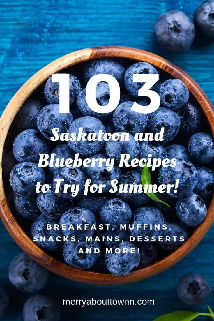 Saskatoon and blueberry recipes