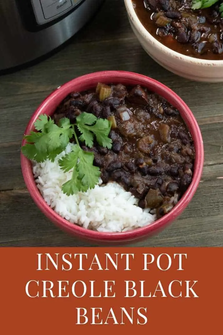 instant pot black beans in a red bowl served with rice