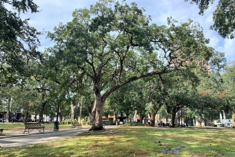 Exploring downtown Mobile, AL