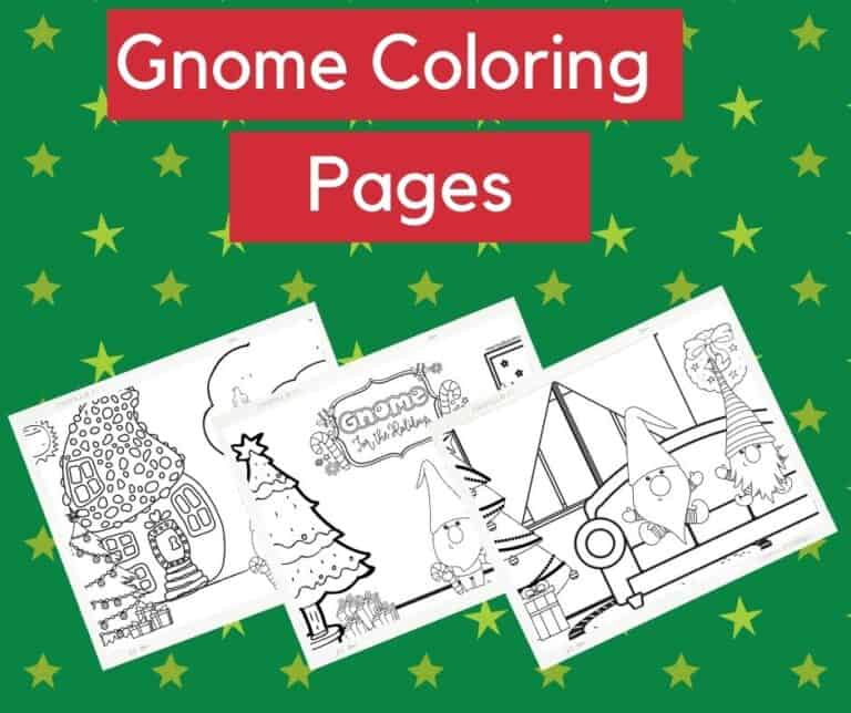 Gnome header photo