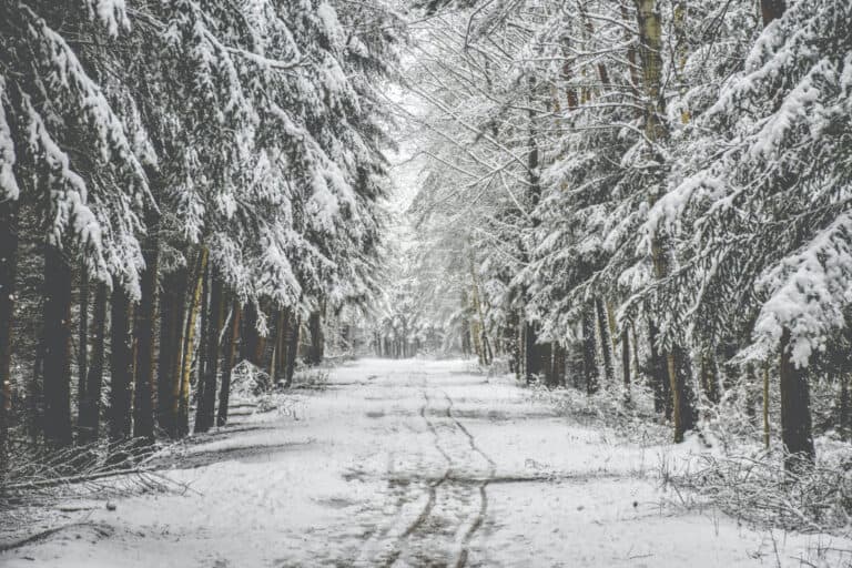 Outdoor in Winter