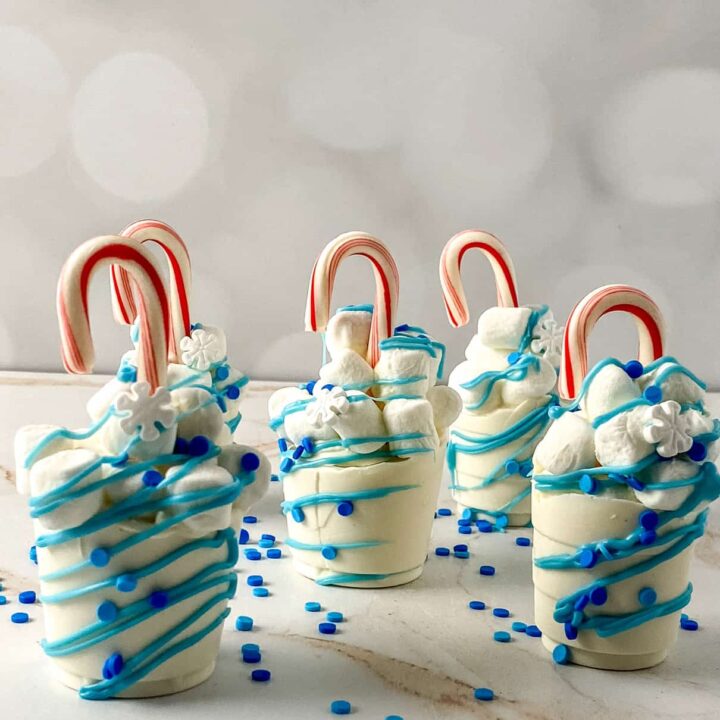 Winter Wonderland Hot Chocolate Bombs