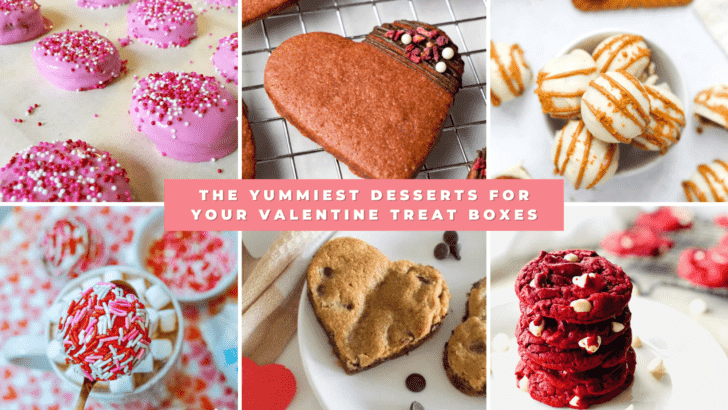It’s the most romantic time of the year! Feel like spoiling your loved ones? Why not bake some delicious desserts to fill up your Valentine Treat Boxes?