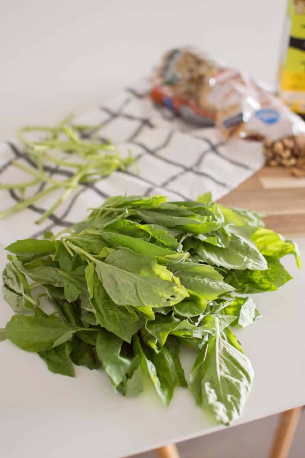 Fresh basil leaves ready to be blended for pesto sauce