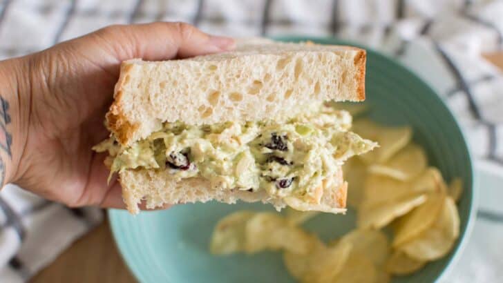 Creamy avocado ranch chicken salad sandwich with potato chips